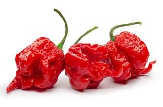 Carolina Reaper