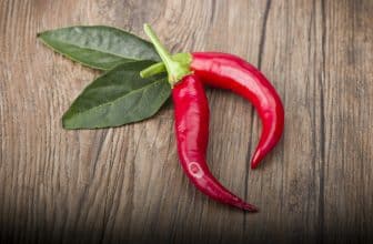 Zwei rote Chilischoten auf Holzhintergrund