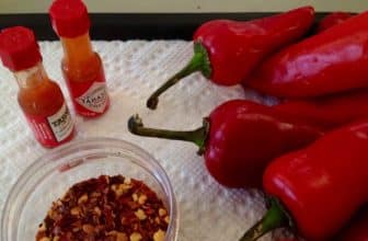 Tabsco und Chili-Flocken in einem Schälchen