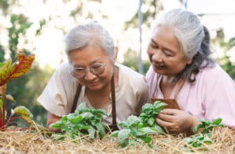 Asiatischer Basilikum