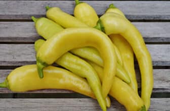 gelbe banana peppers