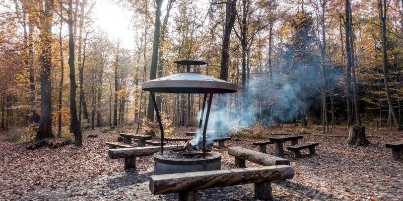 Wo kann man in Heidelberg grillen?