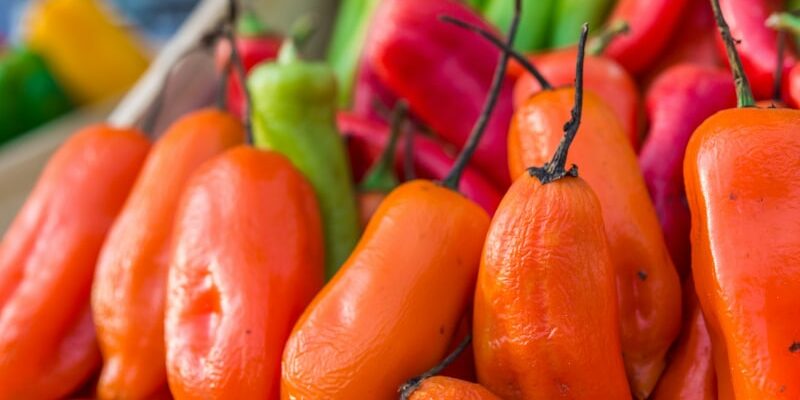 Aji Amarillo Chili: Die Wärme Perus in deinem Essen