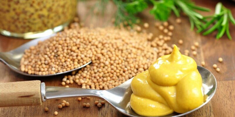 Die erstaunlichen gesundheitlichen Vorteile von Bier-Senf