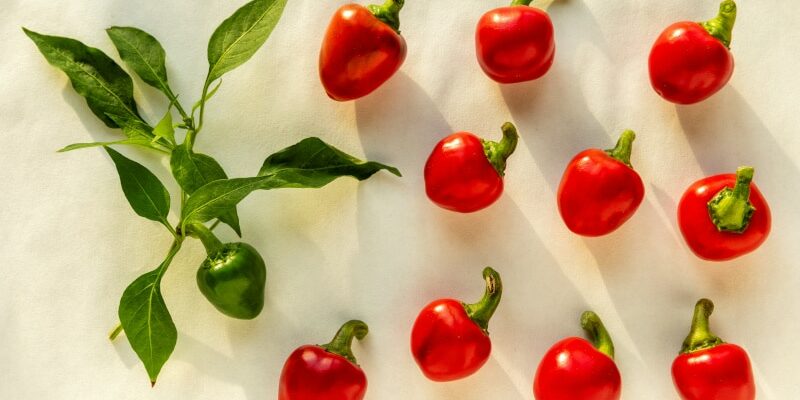 Cherry Bomb Chili: Explosive Aromen in der Küche