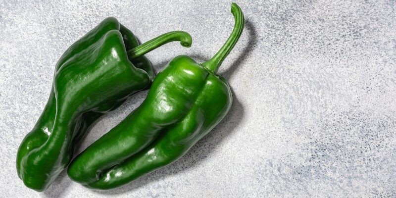 Wie Ancho Chili die mexikanische Küche bereichert