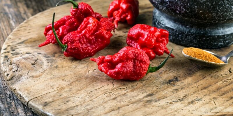 Carolina Reaper Chili: Die schärfste Chili der Welt