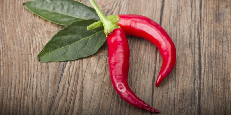 Umgang mit scharfen Chilis